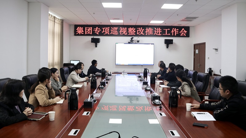 公司黨委召開集團(tuán)專項(xiàng)巡視整改工作推進(jìn)會